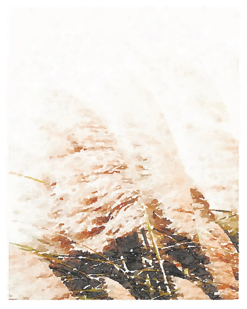 May include: A watercolor painting of tall, feathery grasses in shades of brown and white against a soft, white background.