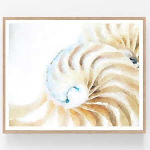 Neutral Abstract Painting Sea Shell Art Watercolor Print Digital Download Printable, Modern Nautical Decor 5x7, 8x10, 11x14, 16x20, 18x24