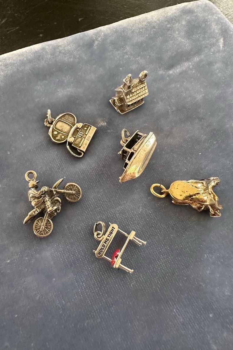 Peut inclure: Un ensemble de six pendentifs de charme en argent. Les breloques comprennent une maison, un t&eacute;l&eacute;phone, un bateau, une moto, des montagnes russes et un chien. Les breloques sont toutes de styles et de designs diff&eacute;rents.
