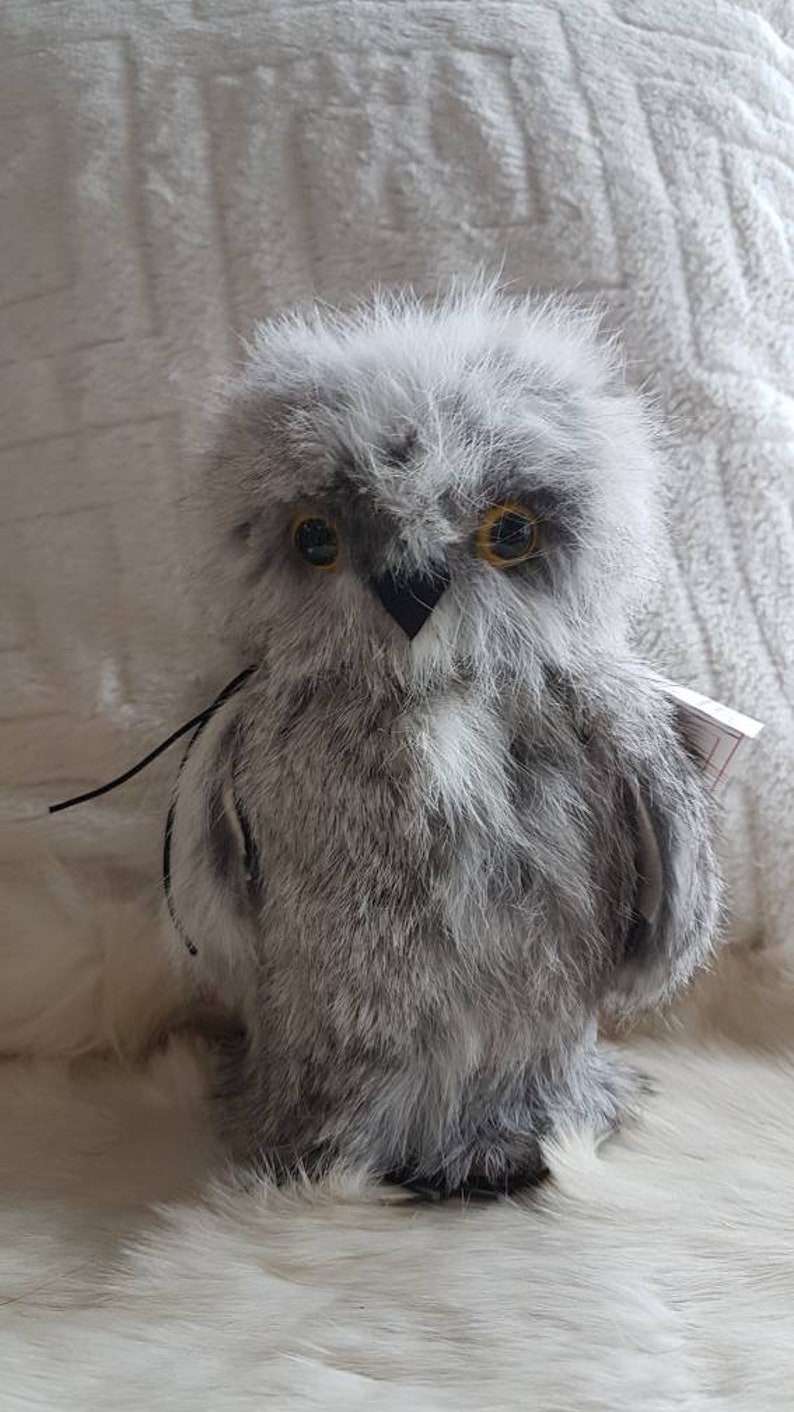 teddy bear and owl negotiation teddy bear and owl negotiation