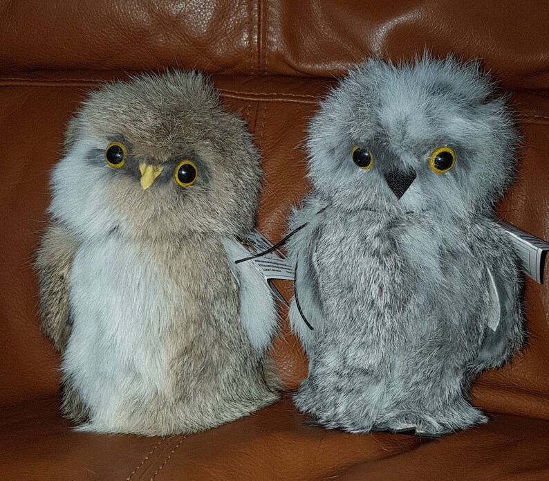 owl teddy bear