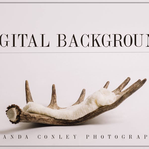 Newborn Digital Background- Moose Antler | Newborn Digital Prop | Newborn Photo Props | Antler Photo Prop for Newborns