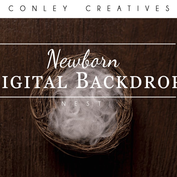 Newborn Digital Backdrop Nest | Nest Digital Backdrop | Compositing Newborn Photos | Little Bird Nest | Warm colored Bird Nest