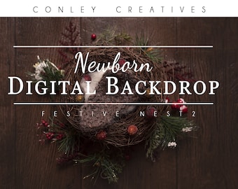 Newborn Digital Backdrop- Festive Nest 2 |composite | photoshop | digital background  | festive 2