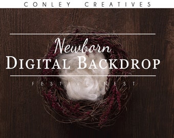 Newborn Digital Backdrop- Festive Nest |composite | photoshop | digital background  | festive