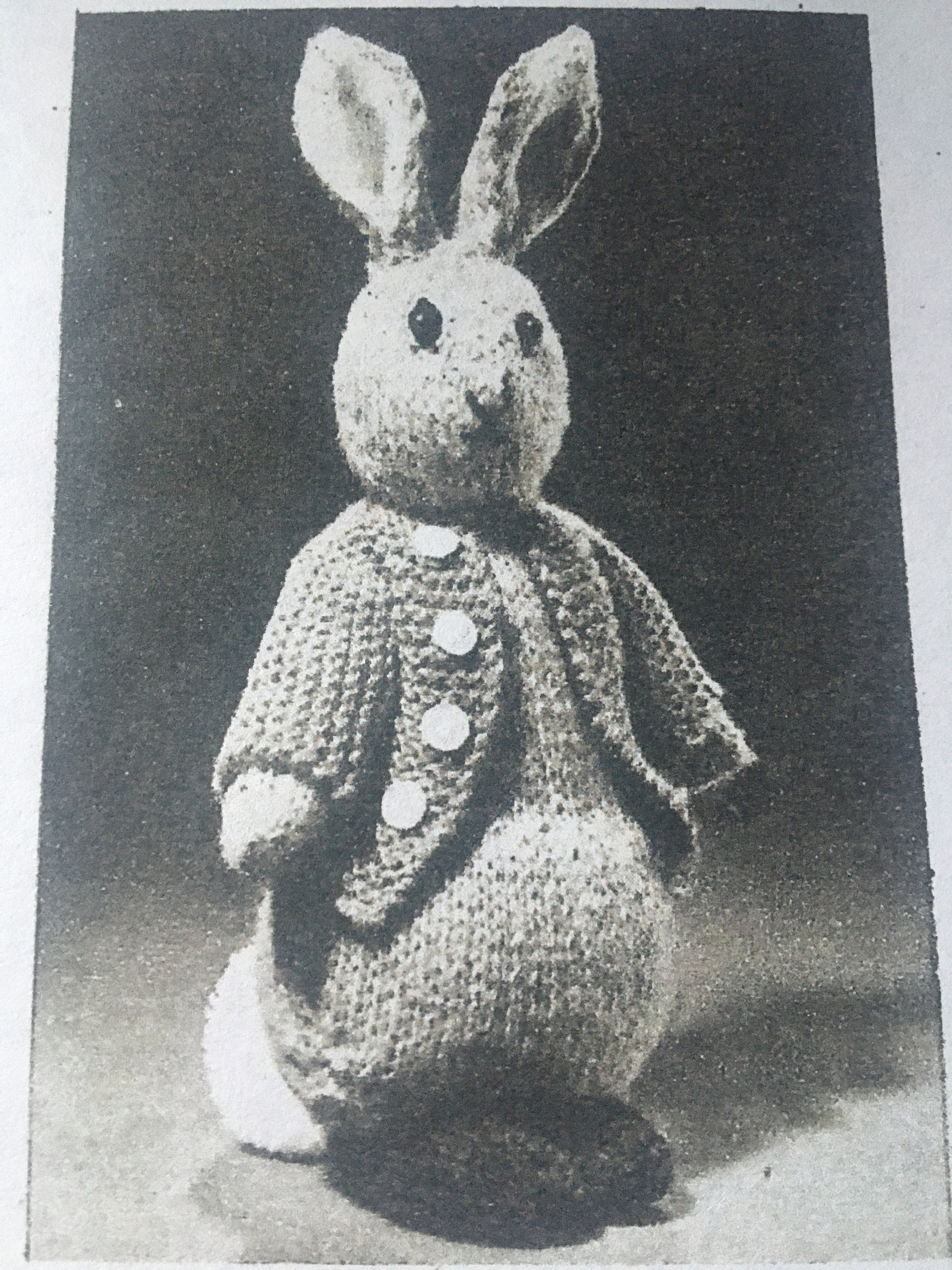 Peter Rabbit Knitting Pattern Vintage / Bunny - Etsy UK