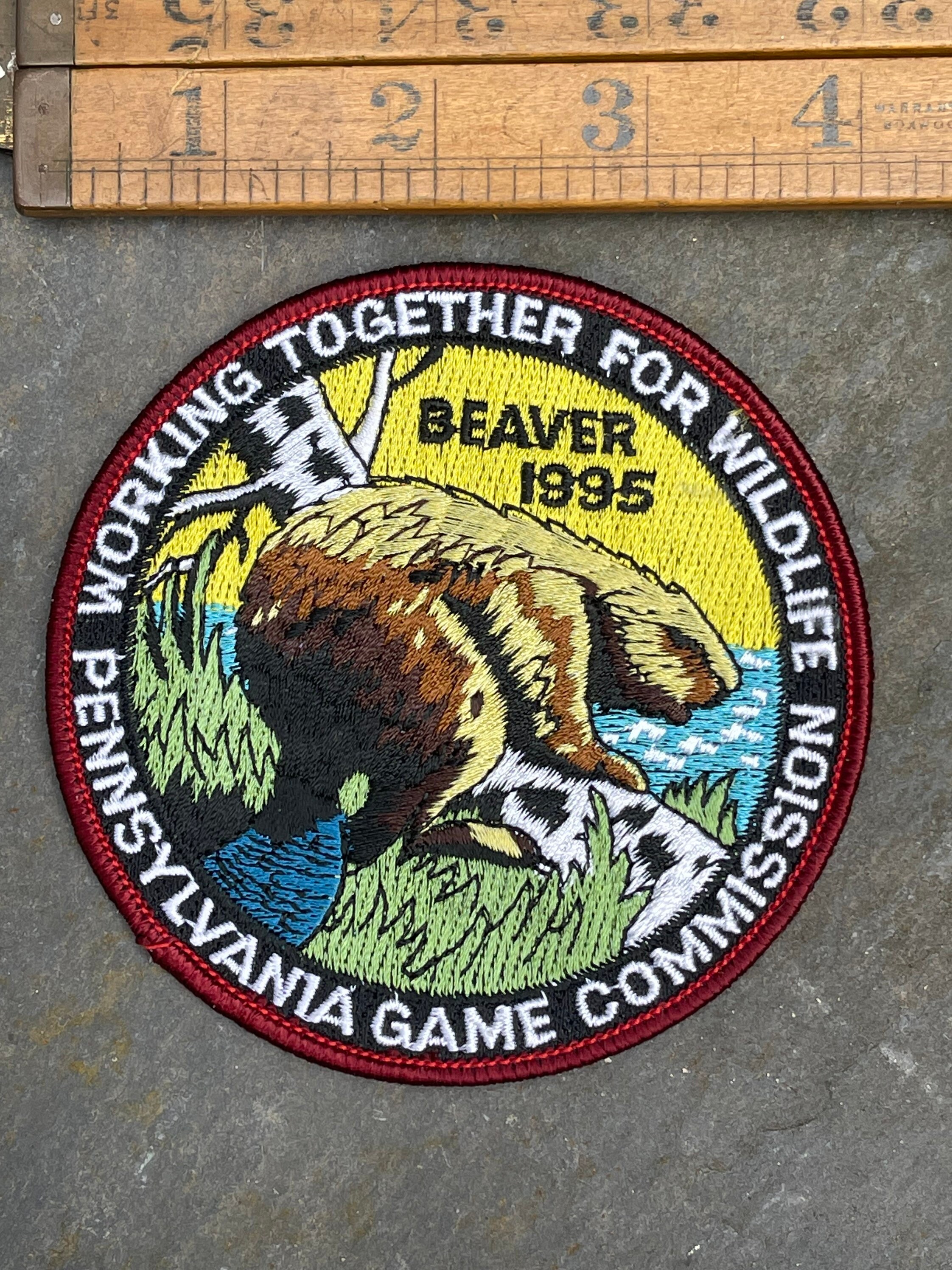 Vintage 1990 Beaver Patch Save the Beaver Pennsylvania - Etsy
