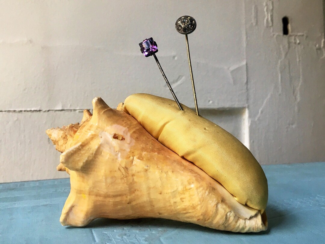 Antique Sea Shell Pin Cushion / Souvenir of Corpus Christi, TX Etsy
