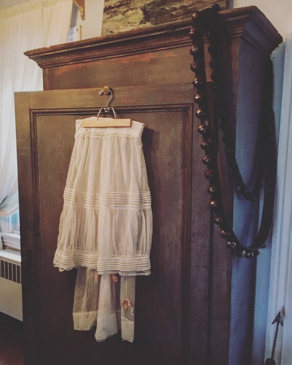 Rare Victorian Skirt