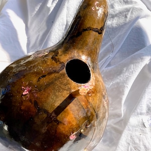 Gourd bird house, all natural, designed for nuthatch and the like, #100