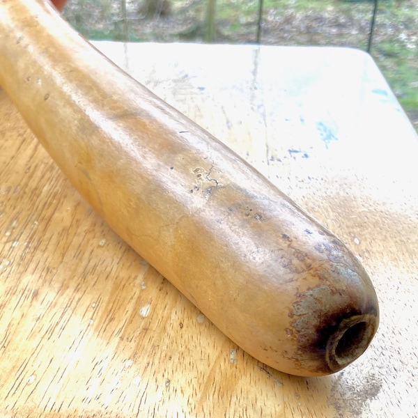 Gourd trumpet, #2, works like ancient horn