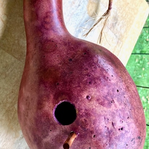 May include: A deep purple gourd birdhouse with a small round entrance hole and a wooden dowel perch. The gourd has a natural, rustic look and is perfect for attracting birds to your garden.