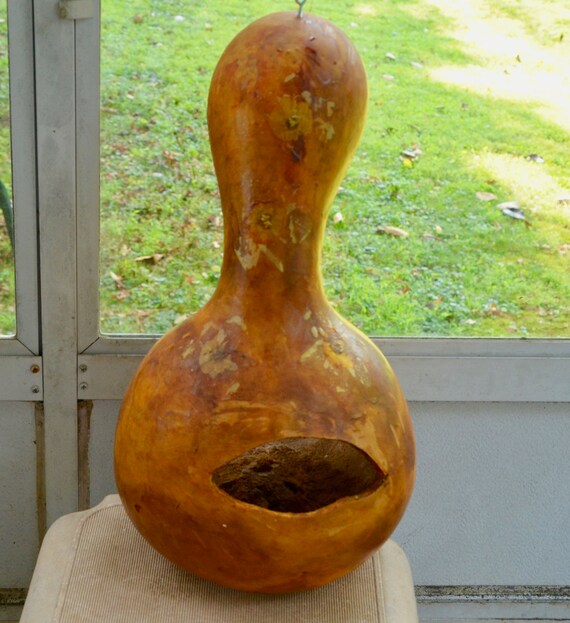Gourd Bird Feeder With Openings For The Smaller Song Birds Etsy
