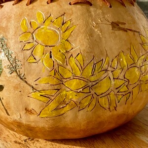 Gourd, all-natural decorative 9 inch rose bowl