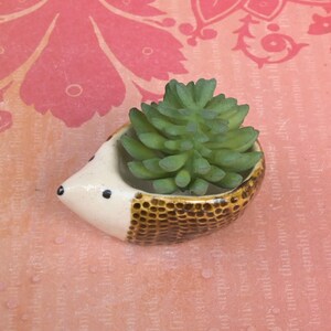 Hedgehog succulent pot. Miniature hedgehog salt cellar.  Ring holder. Ceramic pill holder.