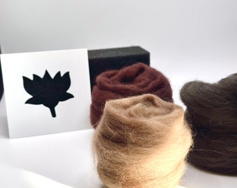 Needle Felting Kit