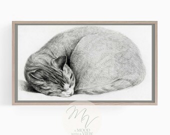 Samsung Frame TV Art: Sleeping Cat, Fun Crazy Cat Lady Gift, Digital Wallpaper, Smart TV 4k Art, High Resolution Instant Download