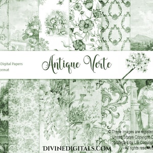 Antique Verte Toile Florals Damask Chinoiserie Scrapbooking Journaling 12 x 12 Backgrounds Digital Paper Printable Sage | Instant Download