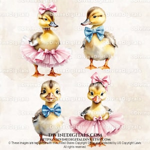 Aquarelle bébés canards bleu noeud papillon tutu rose ballerine sexe révèlent art de la chambre de bébé garçon fille | Téléchargement instantané des cliparts à usage commercial