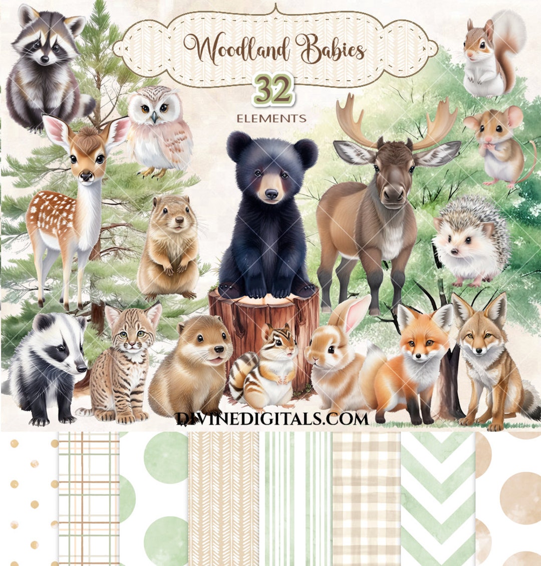 Baby Woodland Forest Animals Bear Moose Deer Racoon Badger Lynx Coyote ...