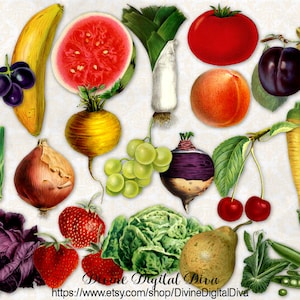 Vintage Garden Produce Fruits Vegetables | Digital Printable Images Clipart Instant Download CU