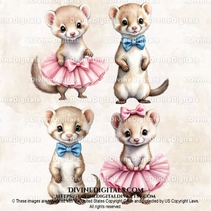 Acquerello Baby Weasel Blu Papillon Rosa Tutu Ballerina Genere Reveal Nursery Art Boy Girl / Uso commerciale Clipart Instant Download