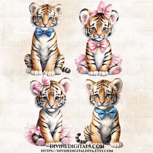 Acquerello Baby Tigers blu Papillon rosa Tutu Gender Reveal Nursery Art Boy Girl / Uso commerciale Clipart Instant Download Gender Reveal