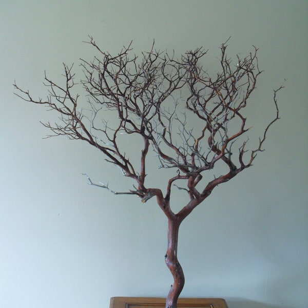 Manzanita Centerpiece branches 10 branches 24-30" tall