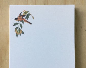 vintage inspired flat note cards and envelopes, vintage bird stationery set, bird note card, set of 10