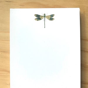 May include: A white notepad with a dragonfly illustration in shades of green and brown. The dragonfly is centered on the top of the notepad.
