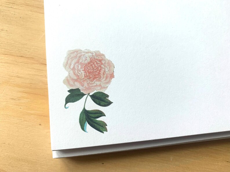 Vintage Peony Note Card Set, Floral Stationery - Etsy