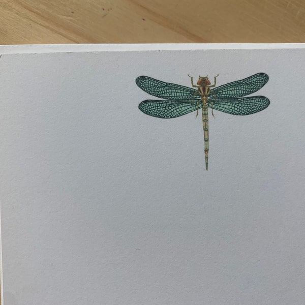 dragonfly stationery set, dragonfly note cards, vintage inspired flat note cards and envelopes, color dragonfly cards