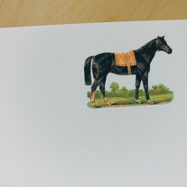 Vintage horse note cards, vintage inspired, flat note cards/envelopes, black horse stationery set