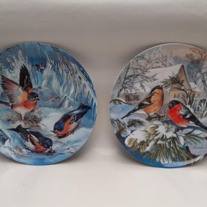 May include: Two round decorative plates with winter bird scenes. One plate shows three birds in a snowy landscape with a blue backdrop. The other plate depicts two birds perched on a snow-covered branch near a house in a winter scene.
