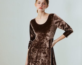 Brown  Velvet Skater Dress