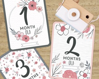 Baby Girl Milestone Cards (Set of 12)