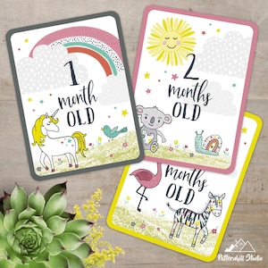 Cartes d’étape pour bébé animal (Ensemble de 12)