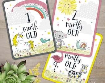 Animal Baby Milestone Cards (Set of 12)