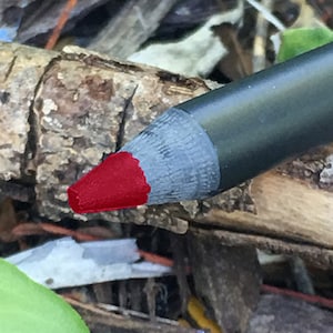 WALK Of SHAME - Volledig natuurlijke lipliner of eyeliner - veganistisch vriendelijk