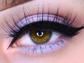 Incognito Eyeshadow – All Natural Vegan Blue Violet Shimmer