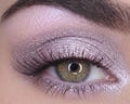 BASHFUL Purple Taupe Mineral Eyeshadow- All Natural, Vegan Eyeshadow and Eyeliner Makeup Minerals