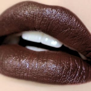 OH FUDGE All Natural Dark Brown Lipstick and Liner- Non Toxic Makeup, Vegan and Cruelty Free
