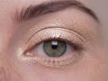 SCANTILY CLAD Neutral Eyeshadow- All Natural, Vegan Friendly