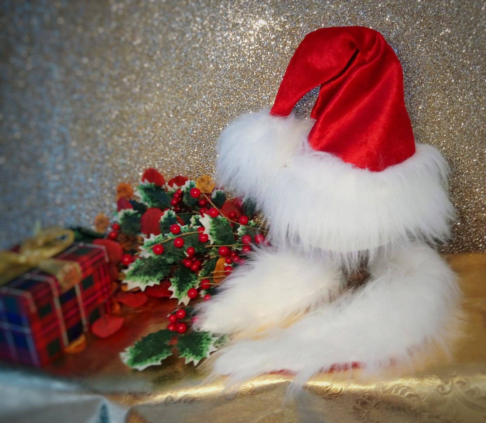 black and gold santa hats