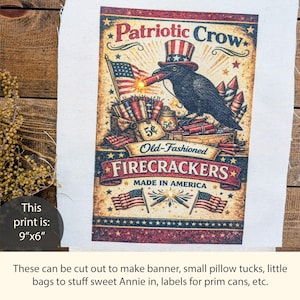 May include: A patriotic print featuring a crow wearing a top hat with red, white, and blue stripes, holding a lit firecracker. The design includes an American flag, fireworks, and the text "Old-Fashioned Firecrackers, Made in America." The print measures 9" x 6".