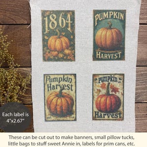 May include: Four rectangular labels with vintage pumpkin harvest designs. Each label is 4" x 2.67" and features a pumpkin illustration with text. The labels are printed on a beige fabric, with the text "1864", "Pumpkin Harvest", and "Harvest".