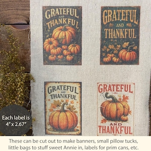 May include: Four rectangular labels with pumpkin illustrations and the words "Grateful and Thankful." Each label is 4" x 2.67". The labels feature orange pumpkins and fall foliage on a textured background, perfect for autumn crafts.