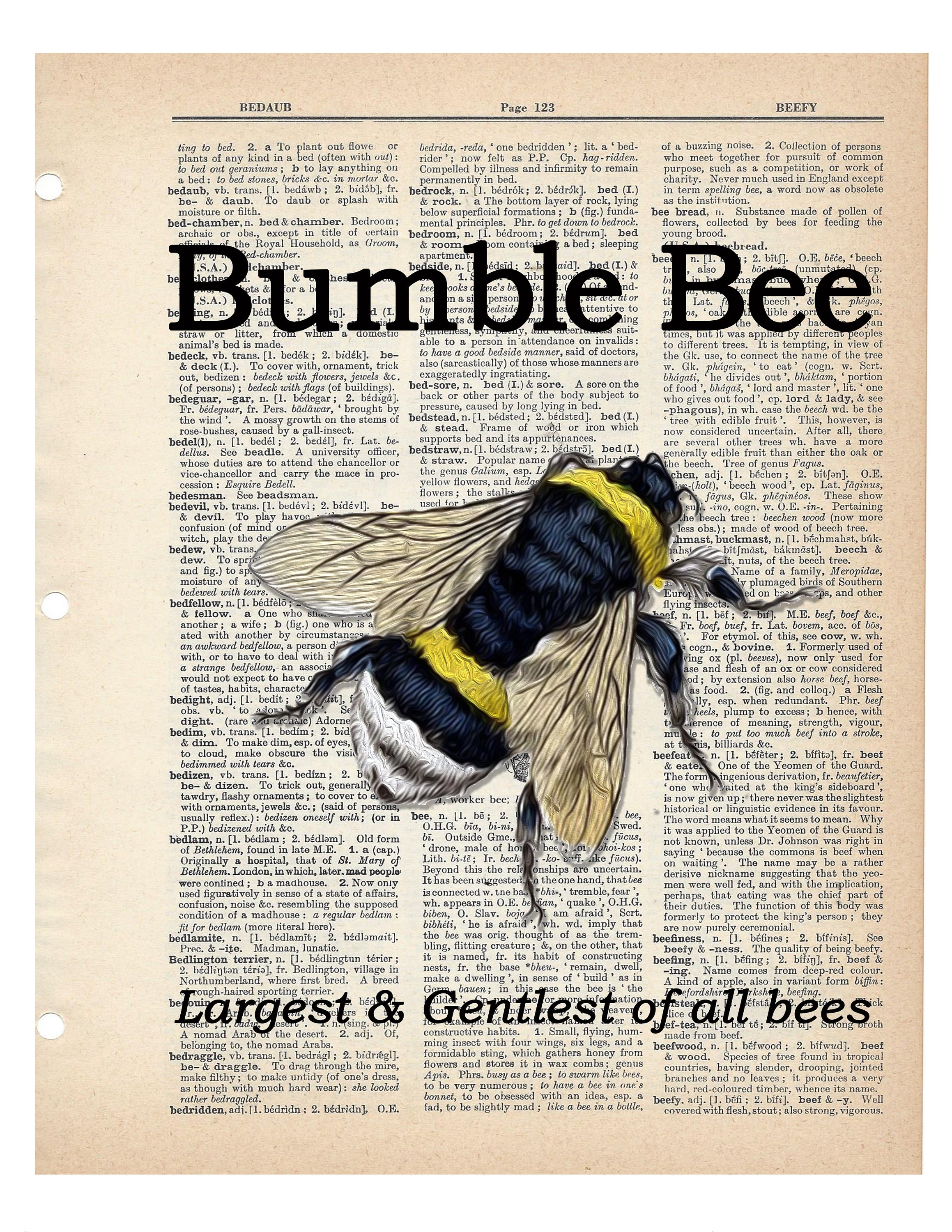 Dictionary Art Print Honey Bee Bumble Bee Queen Bee Worker Etsy UK
