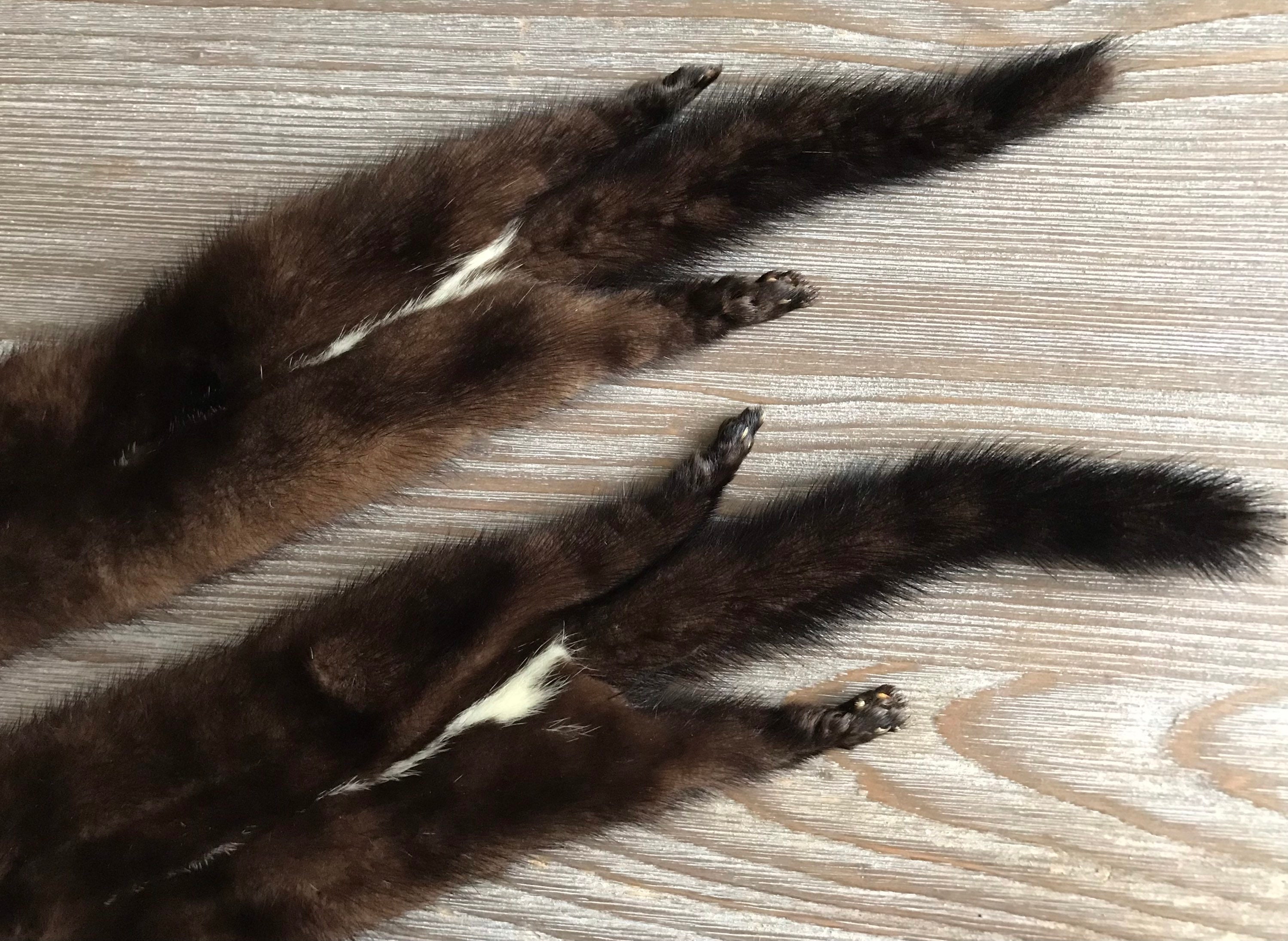 Mink scarf hotsell with head value