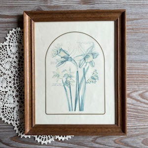 Vintage botanical print, Framed floral picture, Floral wall home decor, Mid century retro